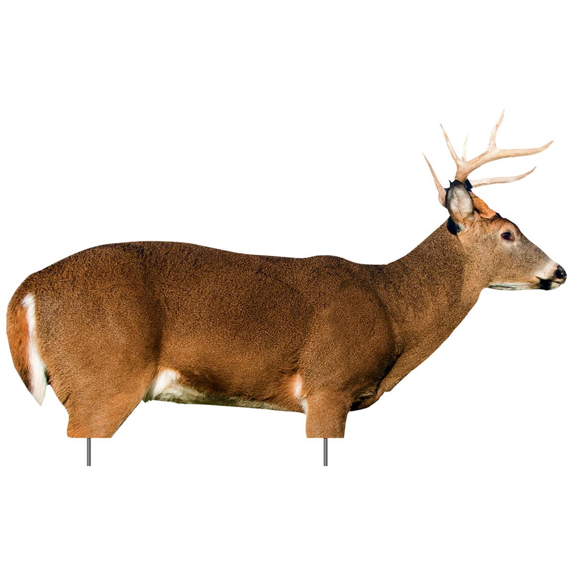 Extreme dimension Buck Chevreuil