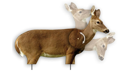 Extreme dimension femelle chevreuil