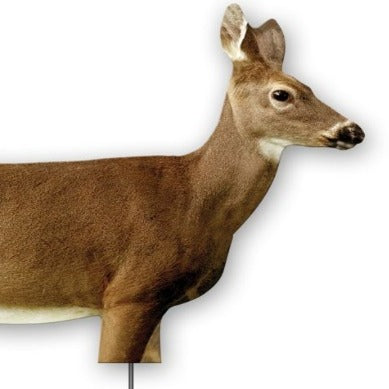 Lerreur femelle chevreuil